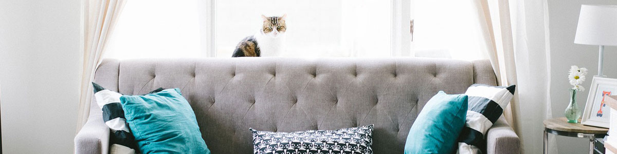 Deals on Home & living and Housewares from The Best Coupons Canada